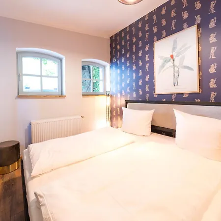 Daire Design - 